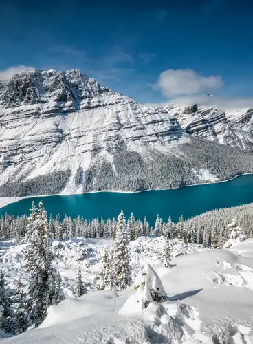 Nieve en las Rocosas