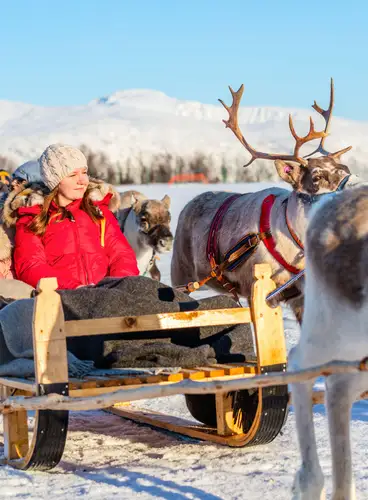 Especial Navidad en Rovaniemi: Sokos Vaakuna