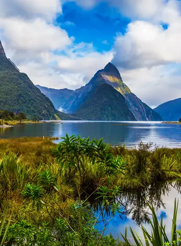 Viaje a las Antípodas