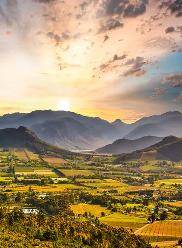 Sudáfrica, Viñedos y Fauna