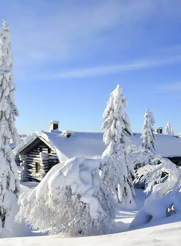 Especial Fin de Año en Cabañas Family Premium