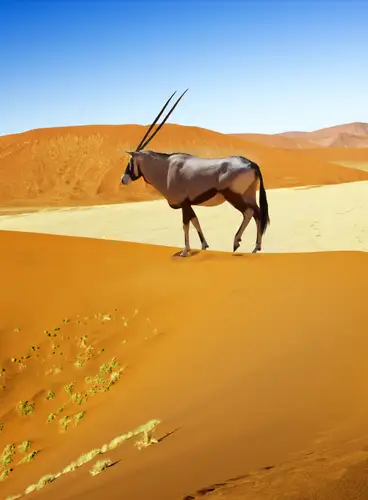 Memorias de Namibia en Privado