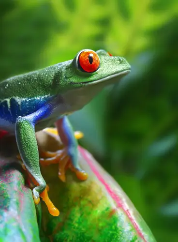 Maravillas de Costa Rica