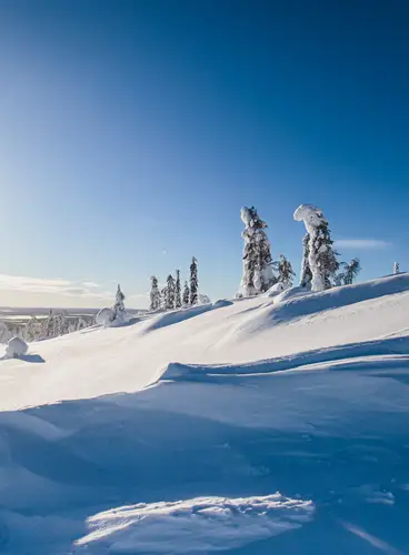 Especial Fin de Año  en  Holiday Village Himmerki