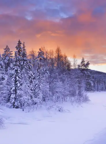 Especial Fin de Año en Holiday Club Salla