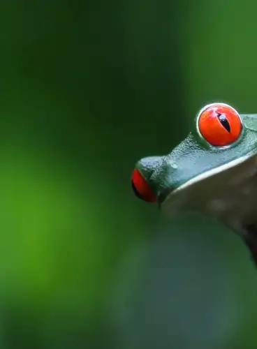 Lo Mejor de Costa Rica