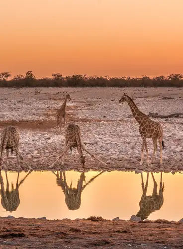 Pinceladas de Namibia