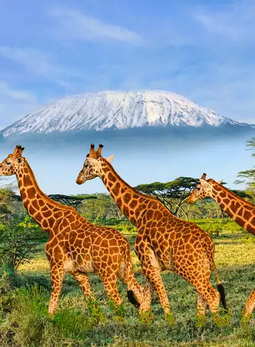 Kenia y Cataratas Victoria