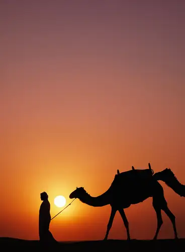 Dubái y el Desierto