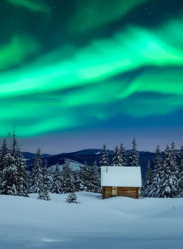 Especial Puente de Diciembre en Cabañas Family Premium