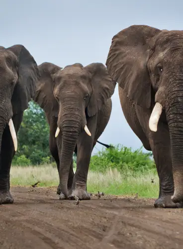 Sudáfrica al Completo