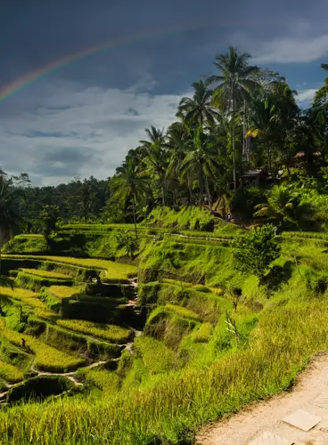 Mi primer viaje a Bali