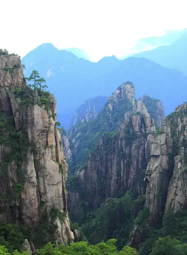 La Montaña Amarilla