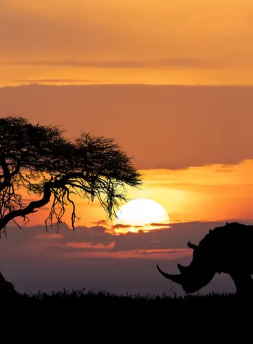 Kenia Lagos y Sabanas Especial Navidad