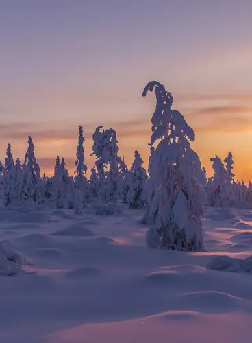 Especial Fin de Año en Pyhä: Parkside Pyhä