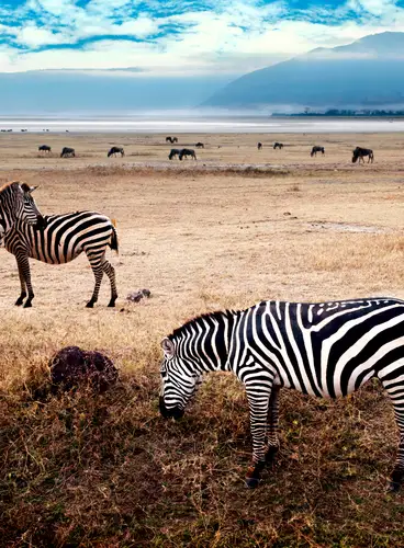 Tesoros del Sur de África