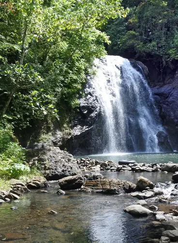 Fiji: Descubriendo las Islas del Norte