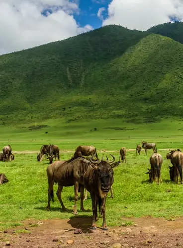 Maravillas de Tanzania en Hoteles Laba Laba