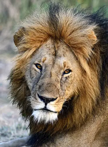 Kenia Inolvidable Especial Semana Santa