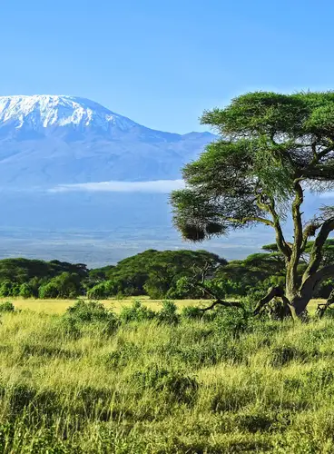 Joyas de Tanzania en Lujo