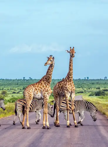 Sudáfrica, Maravillas del Cabo