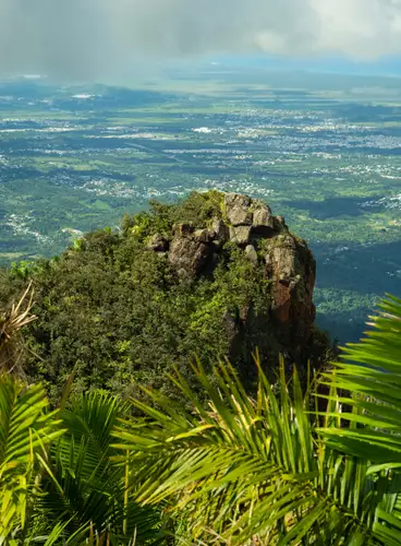 Puerto Rico Natural