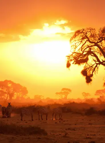 Kenia Lagos y Sabanas Especial Semana Santa