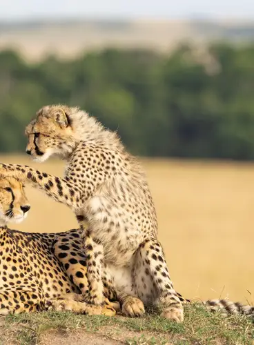 Joyas de Kenia en Lujo