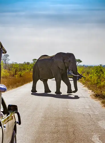 Sudáfrica: Experiencias Únicas