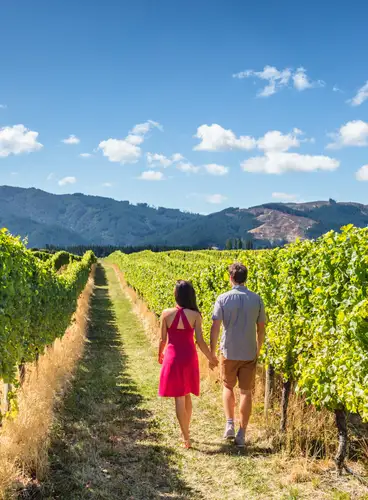 Nueva Zelanda: Experiencia Gourmet y Legado Maorí