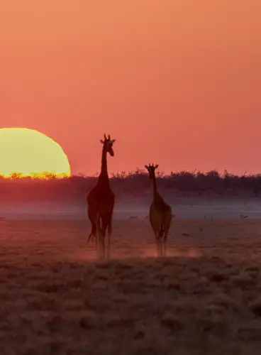 Maravillas de Namibia