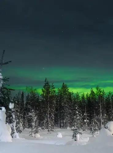 Especial Pre - Puente en Rovaniemi: Hotel Santa Claus Holiday Village