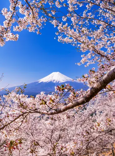 Japón Especial Semana Santa