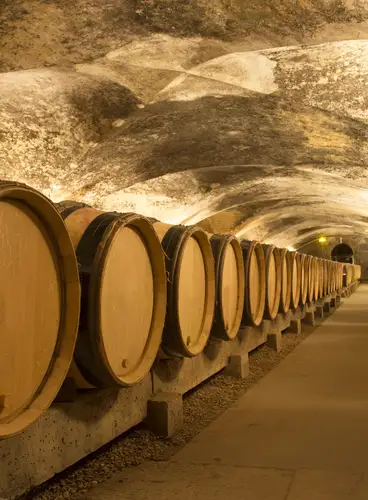 Reims y la Ruta del Champagne