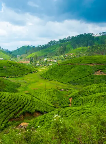 Especial Puente De Diciembre: Isla De Fábula