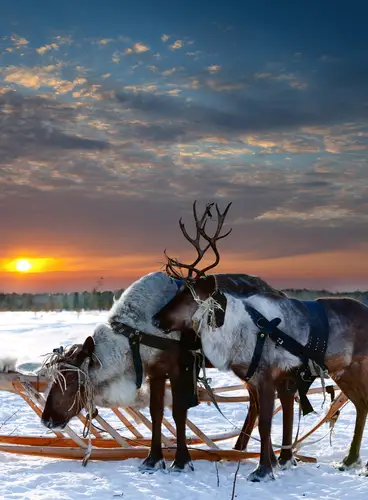 Diciembre en Iso Syöte