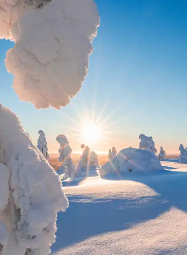 Especial Navidad en Holiday Club Salla