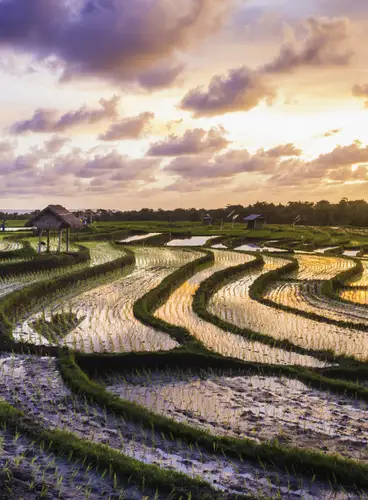 Bellezas de Bali
