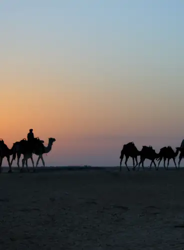 Imagina Marruecos Fin de Año: En Busca de SS.MM Los Reyes Magos