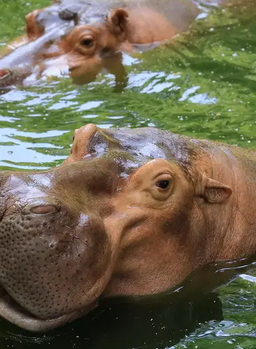 Sudáfrica, Ruta Gran Treck