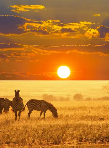 Sueños de Sudáfrica y Cataratas Victoria