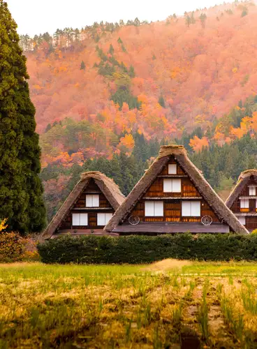 Japón a tu Aire: Ruta Edo
