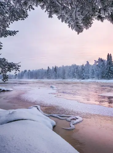 Aventura Invernal en Laponia
