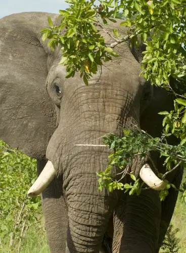 Sudáfrica: Experiencias Únicas