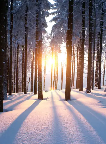 Especial Fin de Año en Rovaniemi: Hotel Santa Claus Holiday Village