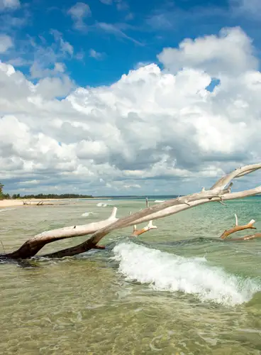 Mozambique Fascinante