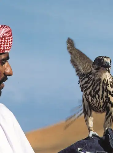 Estancia en Abu Dhabi