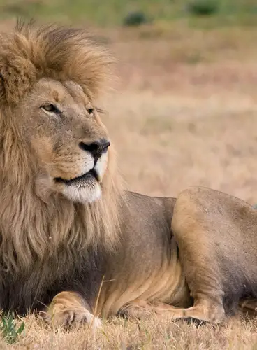 Sudáfrica Espectacular Especial Semana Santa