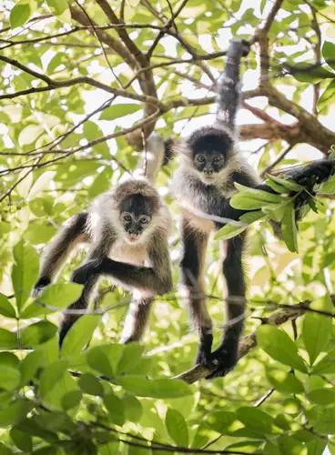 Bellezas de Costa Rica