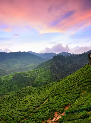 Malasia Especial Fin de Año